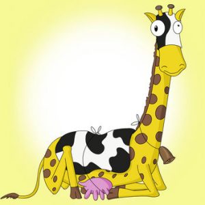 MISS GIRAFFE THE FARMERS CALF